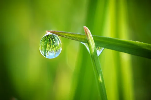 Grüne Wiese in den Bergen — Stockfoto