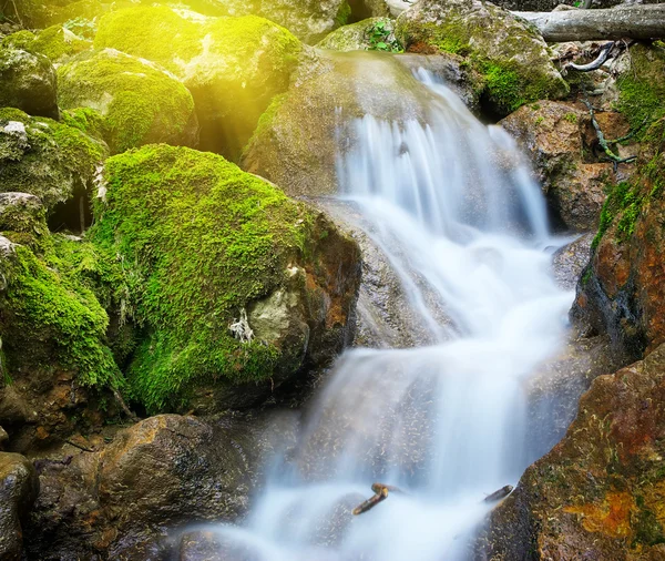 Grüne Wiese in den Bergen — Stockfoto