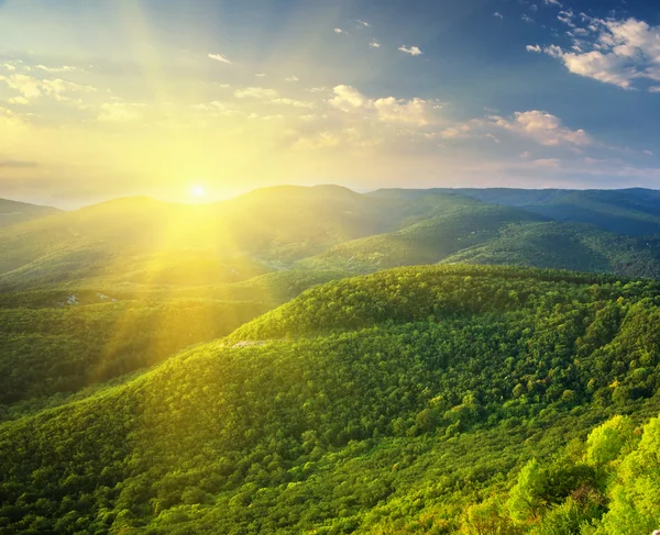 Grüne Wiese in den Bergen — Stockfoto