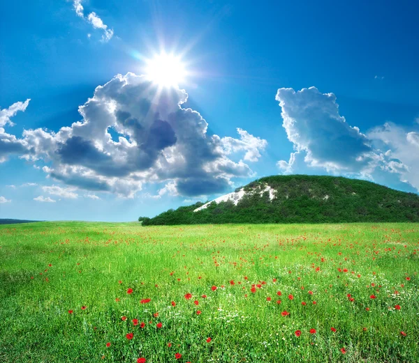 Grüne Wiese in den Bergen — Stockfoto