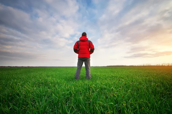 Hombre en pradera verde — Foto de Stock