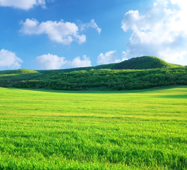 Dağdaki yeşil çayır — Stok fotoğraf