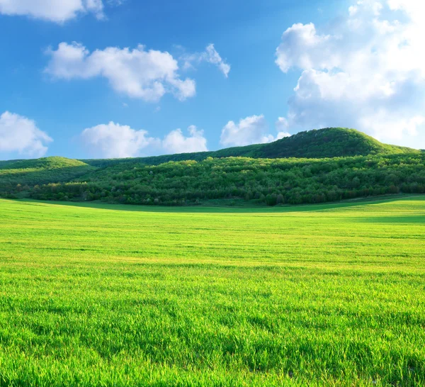 Pradera verde en la montaña —  Fotos de Stock