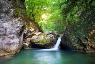 Bahar rill akışı.