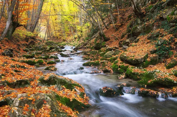 Осінній краєвид — стокове фото