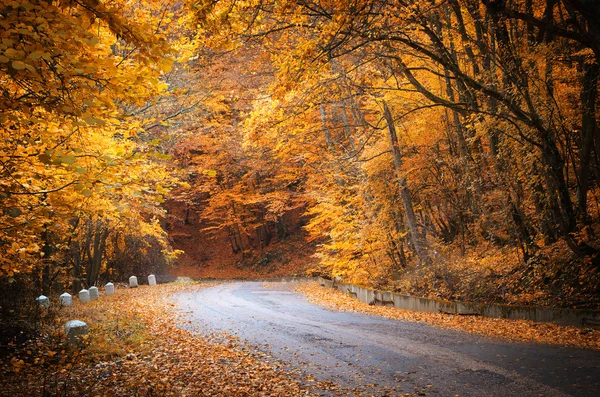Camino de otoño —  Fotos de Stock