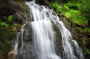 Bahar rill akışı.