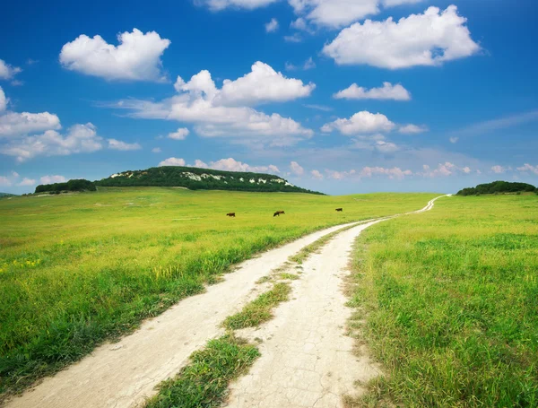 Lane in meadow — Stock Photo, Image