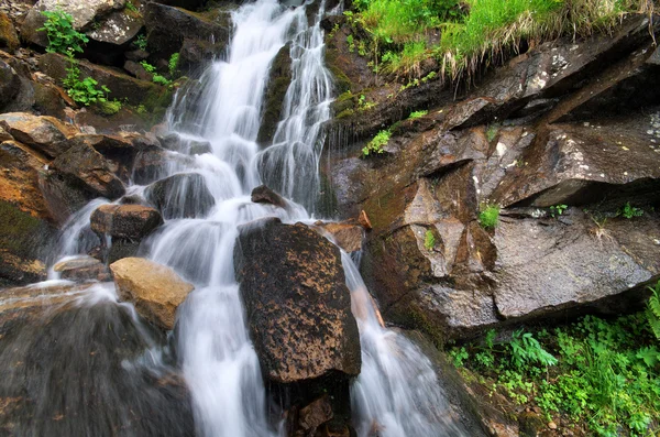 Våren rill — Stockfoto