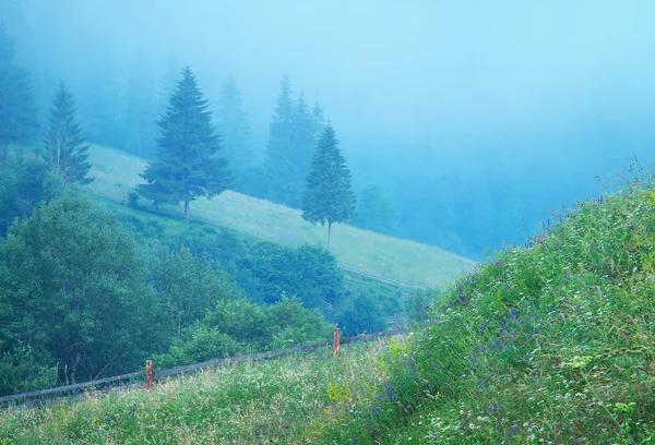 Fog in mountain — Stock Photo, Image