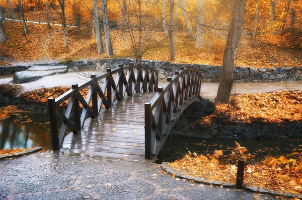 Most v podzimním parku — Stock fotografie