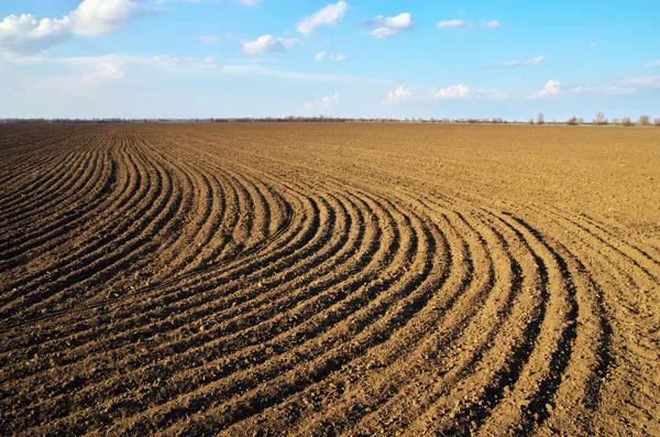 Farm meadow — Stock Photo, Image