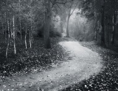 Sonbahar manzarası. 