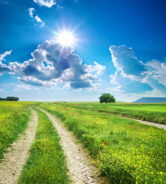 Carretera y cielo azul profundo — Foto de Stock