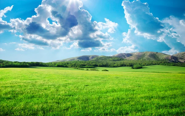 Pradera verde en la montaña — Foto de Stock