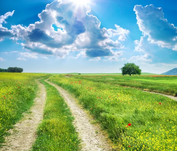 Weg rijstrook en diepe blauwe lucht — Stockfoto