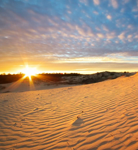 Beautiful landscape in desert — Stock Photo, Image