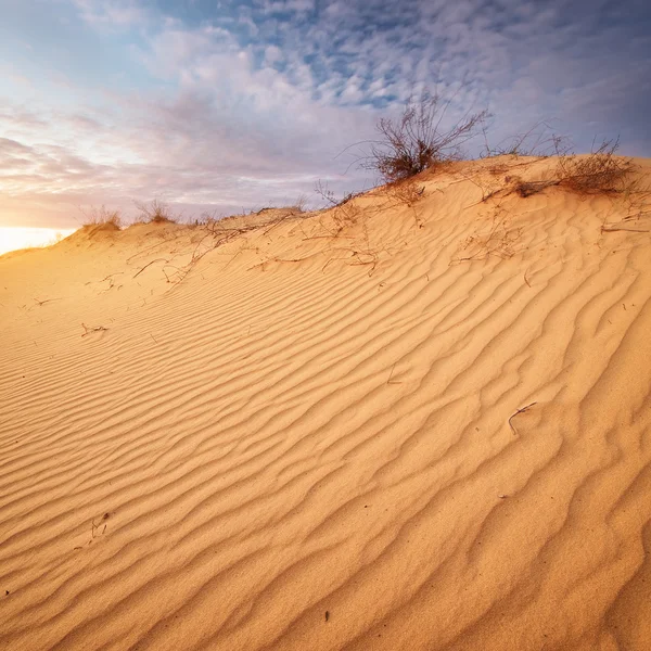 Beautiful landscape in desert. — Stock Photo, Image