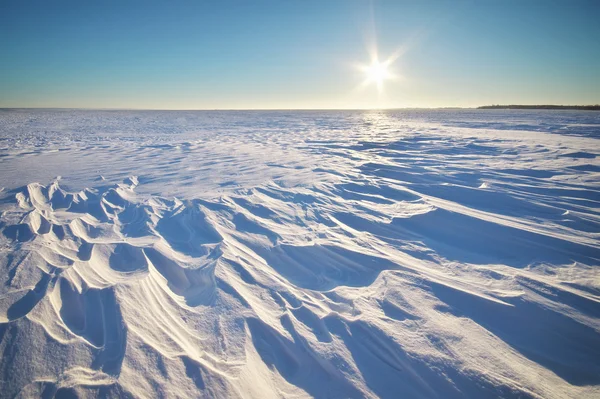 Winter landscape. Stock Picture