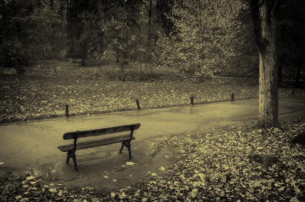 Parque de otoño — Foto de Stock