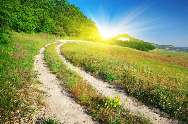 Road lane in mountain — Stock Photo, Image