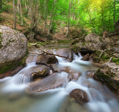 Bahar rill akışı. 