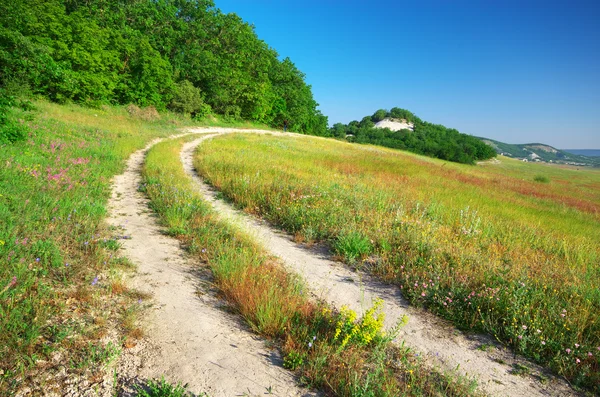 Vägen lane i berg — Stockfoto