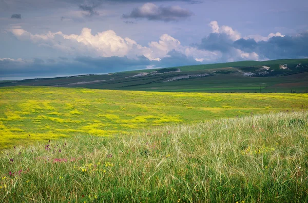 Mountain meadow. — Stock Photo, Image