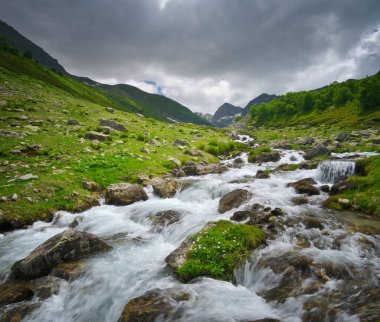 Dağ vadisindeki saf nehir. Doğa yapısı bileşimi.