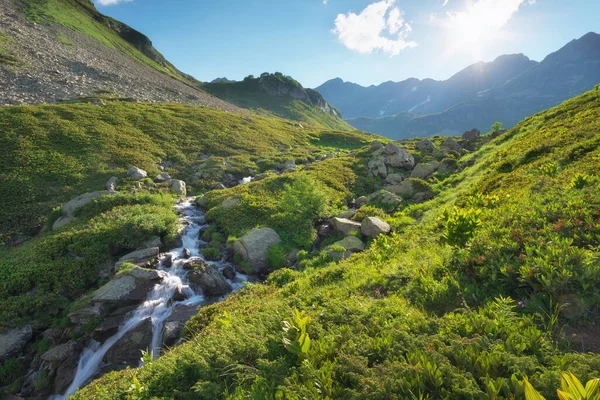Ρεύμα Νερού Πράσινο Καλοκαιρινό Mountin Φύση — Φωτογραφία Αρχείου