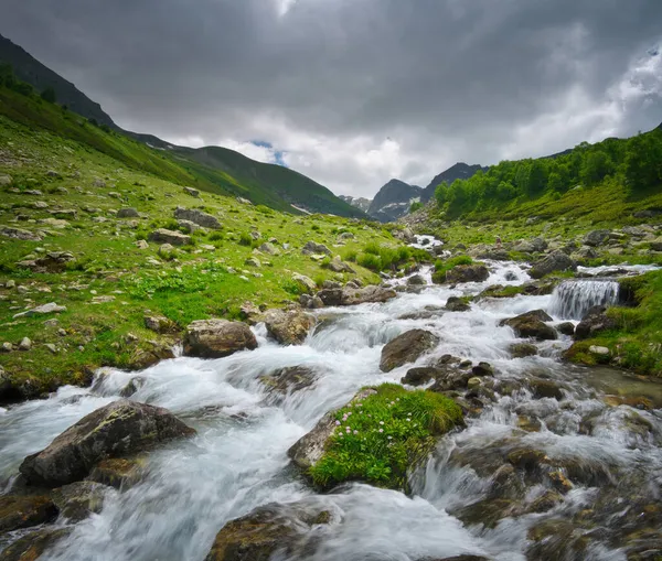 Dağ vadisindeki saf nehir. Doğa yapısı bileşimi.