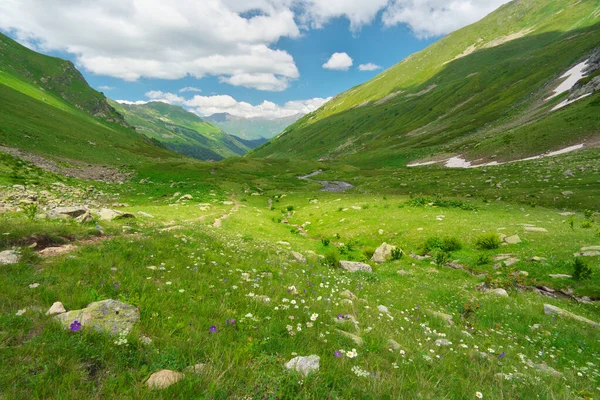 山の緑の谷の風景です 自然の構成 — ストック写真