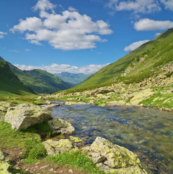 山の谷の純粋な川 自然の景観構成 — ストック写真
