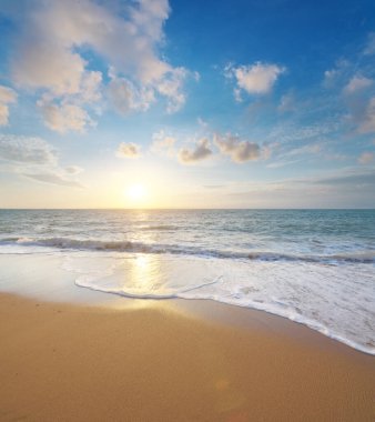 Gün batımında kumsalda. Doğa bileşimi.