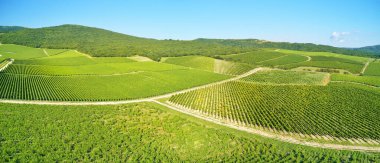 Dağ ve bağ. Fotoğraf kompozisyon.