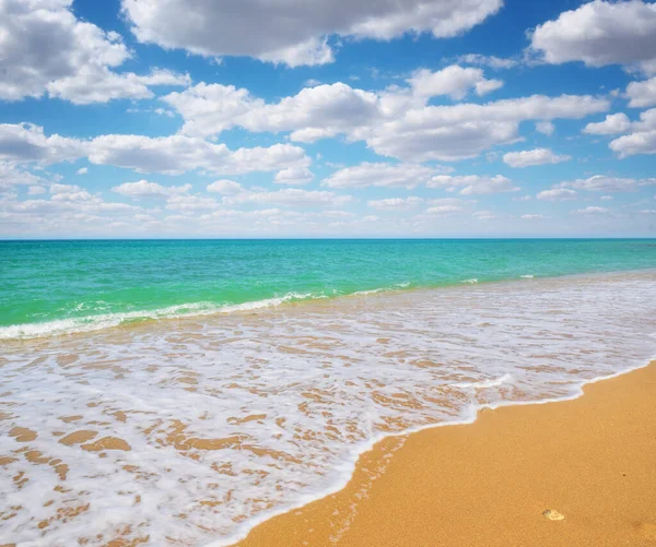 Spiaggia Sabbiosa Giorno Composizione Della Natura — Foto Stock