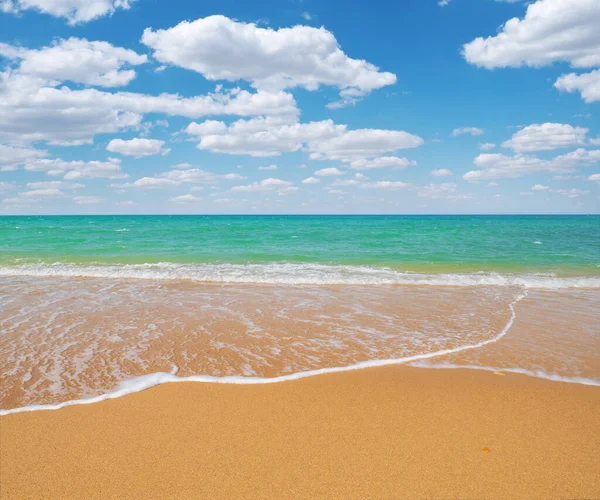 Praia Areia Durante Dia Composição Natural — Fotografia de Stock