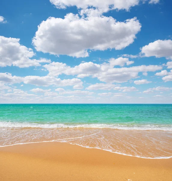 Praia Areia Durante Dia Composição Natural — Fotografia de Stock