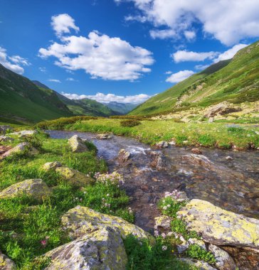 Dağ vadisindeki saf nehir. Doğa yapısı bileşimi.