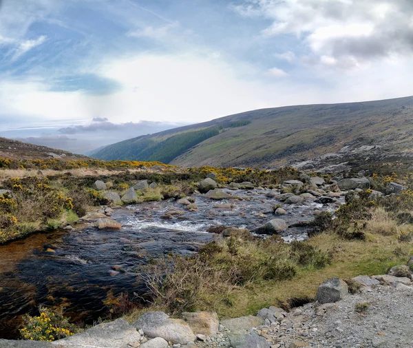 County Wicklow mountains — Stock Photo, Image