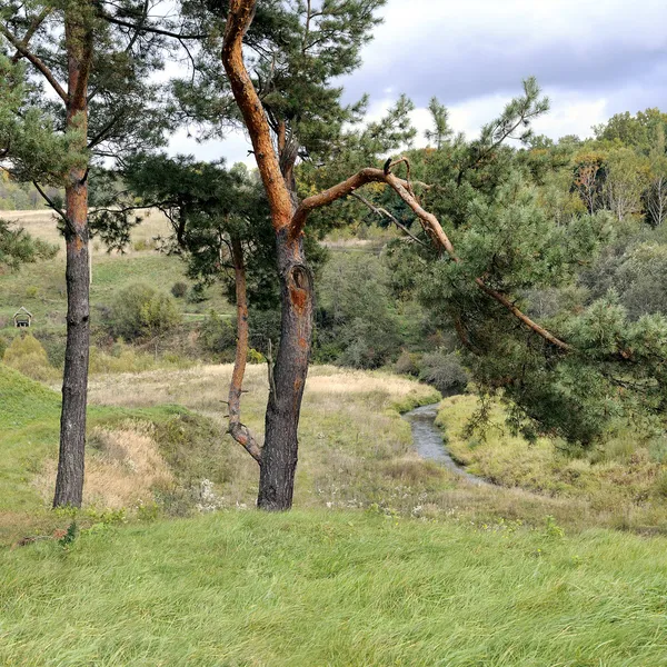 Ländliche Landschaft Litauens — Stockfoto