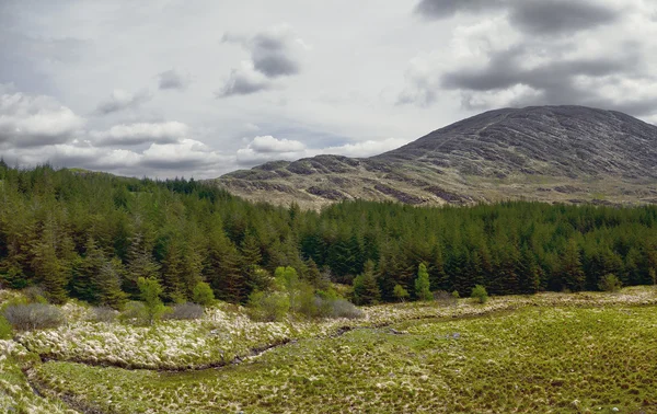 Landskap ring of kerry på Irland — Stockfoto