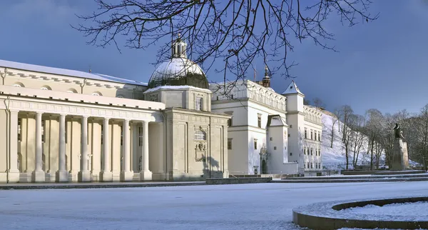 A área da catedral e catedral em Vilnius — Fotografia de Stock