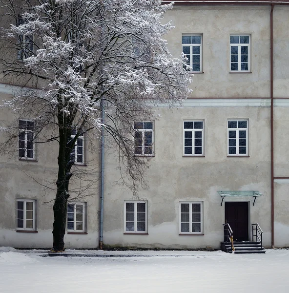 Pałac Słuszków zimą — Zdjęcie stockowe