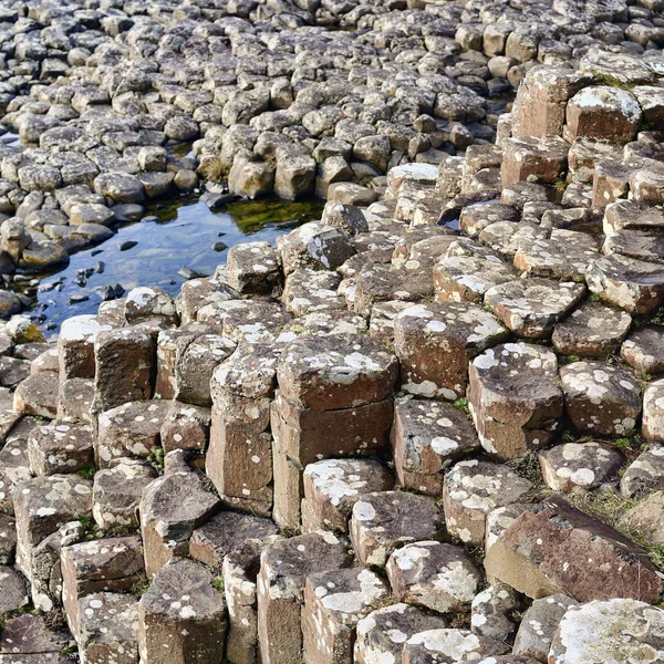 Giant's Causeway — Zdjęcie stockowe