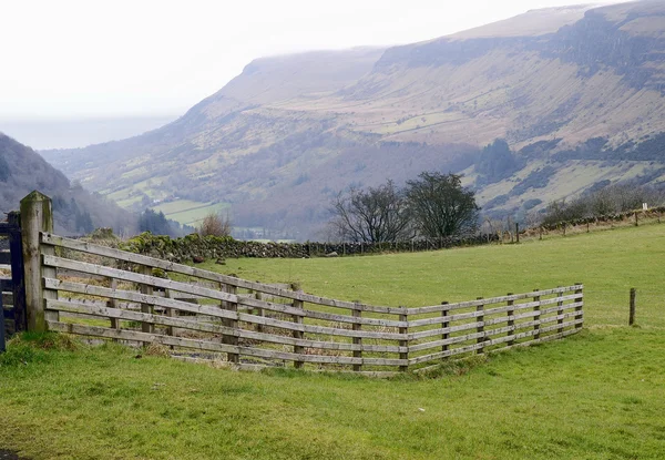 Glenariff forest Park hegyi panorámával — Stock Fotó