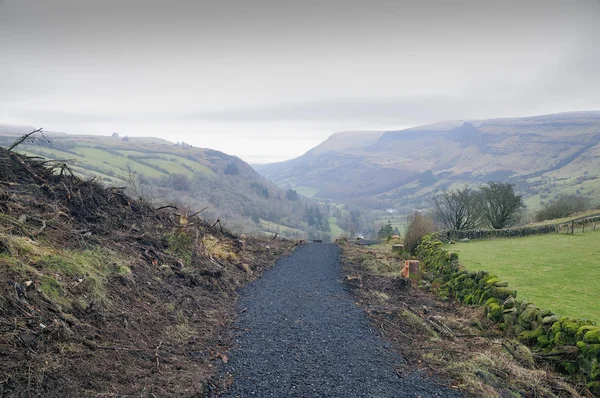 Vandringsled i glenariff forest park — Stockfoto