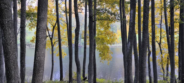 Asveja bölgesel park — Stok fotoğraf