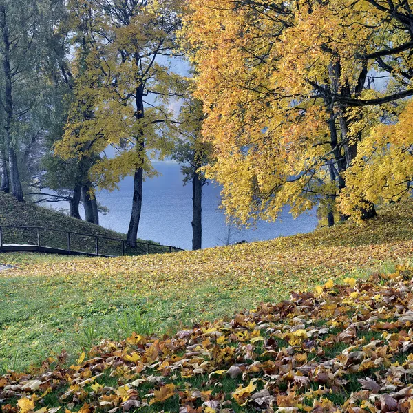 Beau parc d'automne — Photo