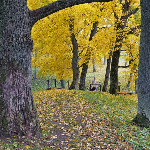 Schöner Herbstpark — Stockfoto